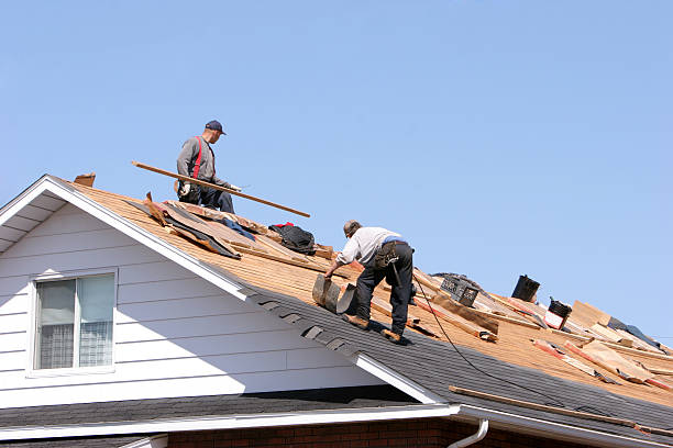 Best Roof Moss and Algae Removal  in Shenandoah, LA